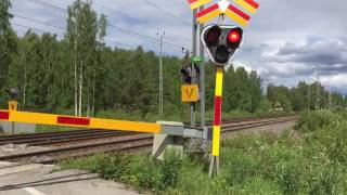 79 Million Views  Level Crossing  Kvarnvägen Korsträsk  Norrbotten Sweden [upl. by Dripps]