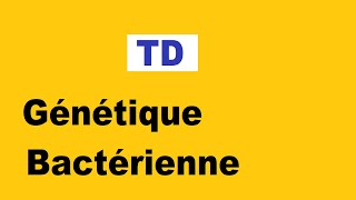 Génétique bactérienne TD [upl. by Imim]