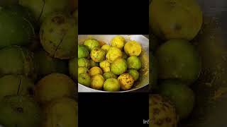 nimbu ka khatta meetha Achar 😋Acharnimbushort [upl. by Wolfort]