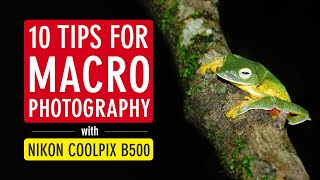 10 Tips for Macro Photography with Nikon Coolpix B500 Nikon B500 Photography  Sonika Agarwal [upl. by Sibylle]