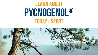 Pycnogenol® for Sport  Animated Infographic [upl. by Aniv766]