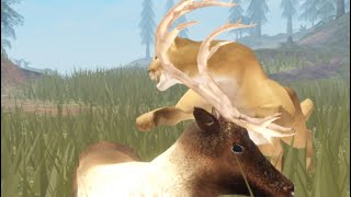 ReindeerHolocene Roblox [upl. by Ad781]