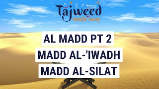 Theory Lesson 14  Al Madd Pt 2 Madd AlIwadh Madd AlSilat  Tajweed Made Easy [upl. by Naloc]