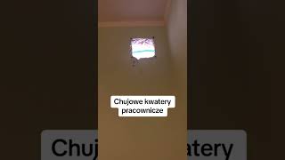 CHUJOWE KWATERY PRACOWNICZE RENATY S SHORT [upl. by Christal]