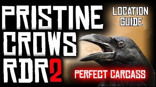 HOW TO FIND PRISTINE CROWS AND GET PERFECT CARCASS IN RED DEAD REDEMPTION 2  LOCATION GUIDE [upl. by Imit]