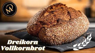 Dreikorn Vollkornbrot selber backen  Gesundes Vollkornbrot Rezept mit Sauerteig [upl. by Rebekkah293]