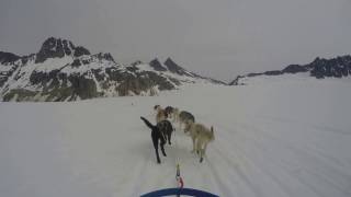 Dog Sledding in Skagway Alaska [upl. by Etselec]