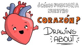 ¿CÓMO FUNCIONA EL CORAZÓN ♥️  Drawing About con GlóbuloAzul [upl. by Lothar]