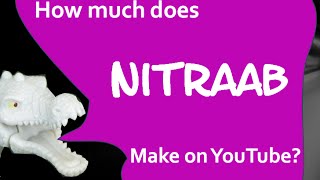 How much money does Nitraab make on YouTube 2014 [upl. by Ylrebmyk261]