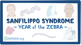 Sanfilippo syndrome Year of the Zebra [upl. by Yeroc]