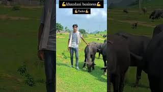 Laga ta badhiya se kele nekhe khush ho bhojpurimusicchannel bhojpurimusic cow saregamaindia [upl. by Margi13]