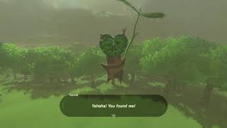 Korok seeds  Bubinga Forest  Dueling Peak Tower 5152  Zelda BOTW [upl. by Ellimaj]