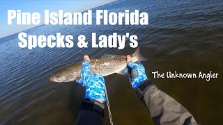 Pine Island Florida Speckled Trout and Ladyfish [upl. by Ecadnarb226]