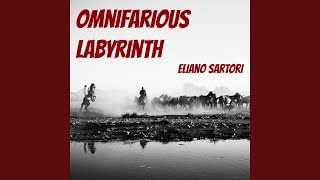 Omnifarious Labyrinth [upl. by Ahsimal]