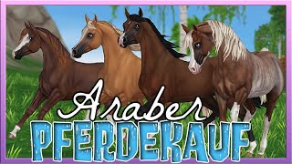 Wir KAUFEN die neuen ARABER 🐴 ja mehrere 😁💸 Star Stable Pferdekauf SSO [upl. by Lamar]