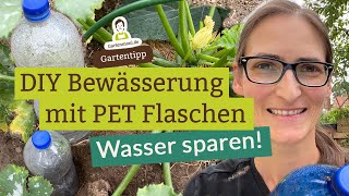 DIY Tropfbewässerung mit PET Flaschen  Ollas selber basteln und Wasser sparen beim Gießen [upl. by Alburga776]