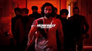 Arjan Vailly Slowed  Reverb  Ranbir Kapoor  A2B MUSIC 07 [upl. by Novahc]