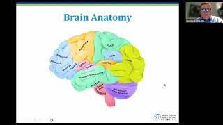 The Impact of Brain Injury [upl. by Teplica]