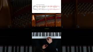 Chopin Lento con gran espressione “intro” chopin nocturne pianotutorial [upl. by Ekyt927]