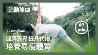 60分鐘流動瑜伽健脾養胃 提升代謝培養易瘦體質 60 min flow yoga  Flow with Katie [upl. by Goerke12]