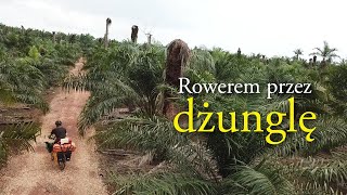 44 Rowerem przez dżunglę [upl. by Autum]