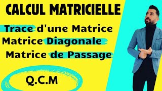 Comment Diagonaliser une Matrice  Calcul Matricielle [upl. by Tomkiel]