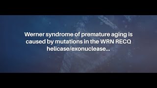 Werner Syndrome RECQ Helicase and Heterochromatin Maintenance in Human Cells  AgingUS [upl. by Teryn]