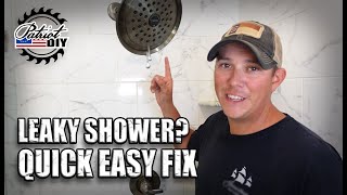 How To Fix a Leaking or Dripping Shower  DIY Replace Shower Cartridge [upl. by Ysac]