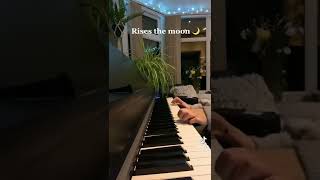 Rises the moon piano [upl. by Ymarej657]