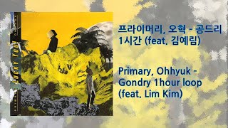 프라이머리 오혁  공드리 1시간 Primary Ohhyuk  Gondry feat Lim Kim  1 hour loop [upl. by Brenden451]