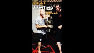 SILAT FIGHTING Drills For Beginners [upl. by Dnumyar428]