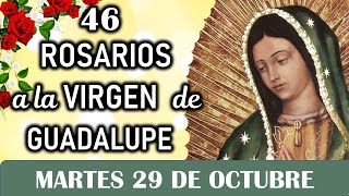 46 Rosarios a la Santísima Virgen de Guadalupe Martes 29 de Octubre Dia 2 🥀 Misterios Dolorosos 🥀 [upl. by Aitas]