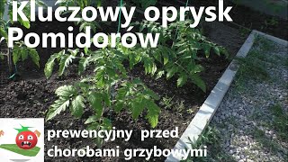 Kluczowy pierwszy oprysk Pomidorów po posadzeniu [upl. by Genny521]