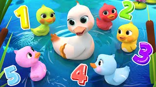 5 Little DucksLearn Colors Song  Lalafun Nursery Rhymes amp Kids Songs [upl. by Kursh]