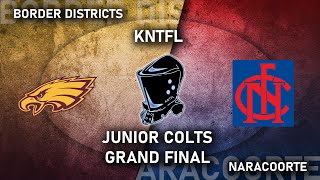 KNTFL JUNIOR COLTS GRAND FINAL NARACOORTE VS BORDER DISTRICTS14092024 [upl. by Milly]