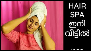 Hair Spa at Home  Remove Dandruff and Get Healthy Hair  Malayalam  Keerthis Katalog [upl. by Ahsiekram]