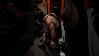 Triceps  fin de séance musculation basicfit triceps [upl. by Spenser675]