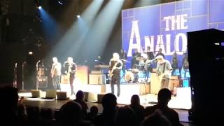 The Analogues Abbey Road  quotThe Endquot March 26th 2019 Aegi Theater Hannover Germany [upl. by Xineohp]