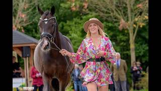 Trot up at Boekelo 2023 [upl. by Nolad]