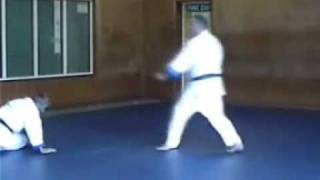 Tomiki Aikido Koryu Dai Ni Essex Aikido Dojo Shoshinkan [upl. by Rumpf]