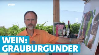 Werner erklärt Wein Grauburgunder [upl. by Funda]