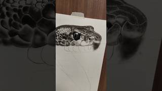 Snake Drawing with charcoal pencil 😅 [upl. by Grunenwald]