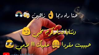 Statut whatsapp maroc rap 🌈😍 2019 [upl. by Assil]