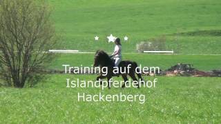 Islandpferde Training [upl. by Maccarthy]