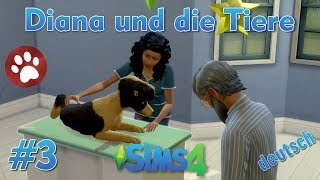 Sims 4  Diana und die Tiere 3  Diana heilt einen kranken Hund [upl. by Hayifas470]