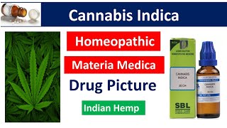 Cannabis Indica Homeopathic Medicine  Drug Picture  Materia Medica bhms materiamedica cannabis [upl. by Aicela]