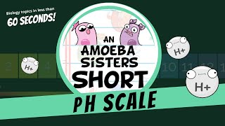 pH Scale  Amoeba Sisters Shorts [upl. by Salita]