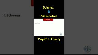 What is Schema What is Assimilation Piagets Theory  Shorts schema psychology shorts [upl. by Enomar816]