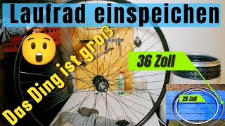 36 Zoll ‼️Laufrad einspeichen‼️Bekommt ein Neuling das hin❓fahrrad werkstatt [upl. by Drhcir]