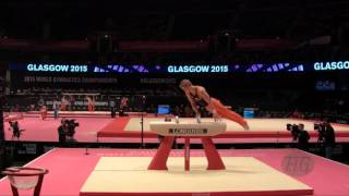 ZONDERLAND Epke NED  2015 Artistic Worlds  Qualifications Pommel Horse [upl. by Desdamonna]